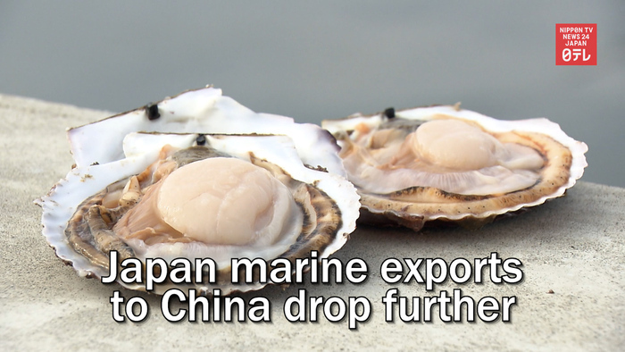 Japan marine exports to China down further over last months decrease