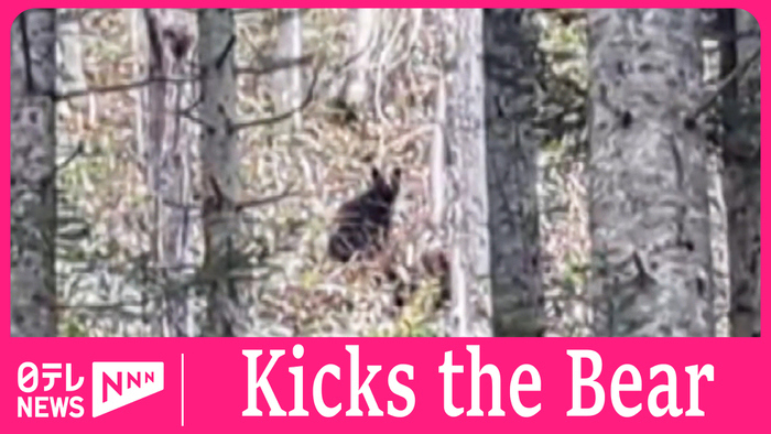 Tourist kicks bear in face to chase it away in northern Japan mountains