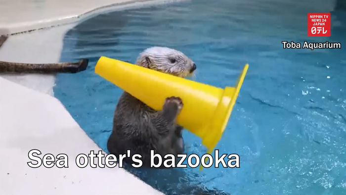 Sea otter's bazooka