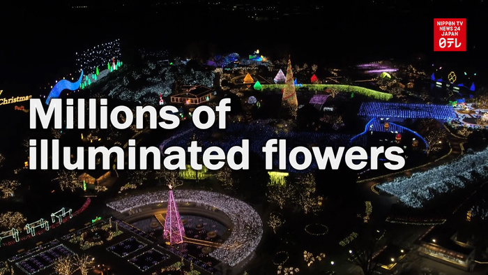 Millions of illuminated flowers