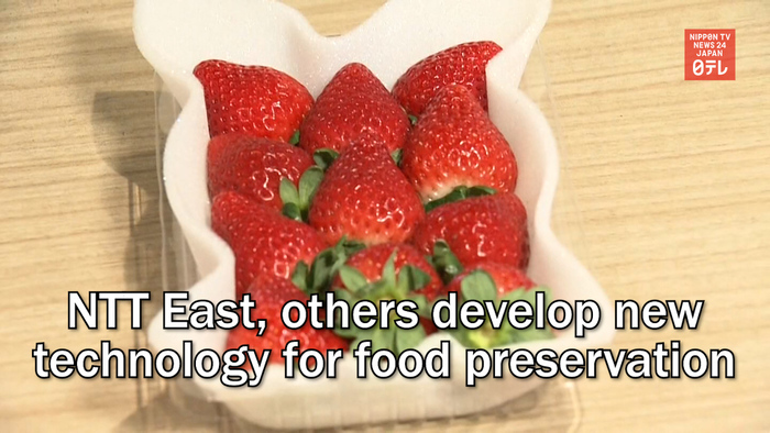 NTT East and others develop new technology for food preservation