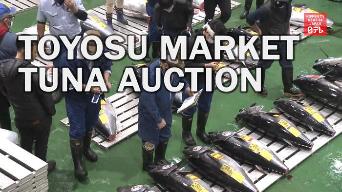 Toyosu fish market resumes public viewing of tuna auctions