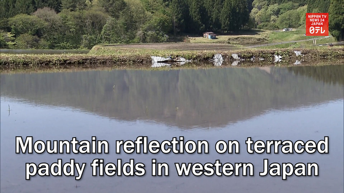 Mountain reflection on terraced paddy fields in western Japan