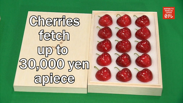 Cherries fetch up to 30,000 yen apiece