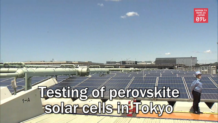 Testing of perovskite solar cells in Tokyo