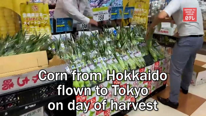 Corn from Hokkaido flown to Tokyo on day of harvest