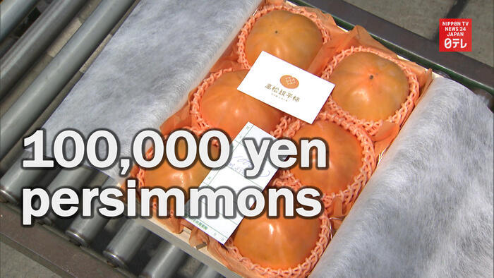 6 persimmons fetch 100,000 yen