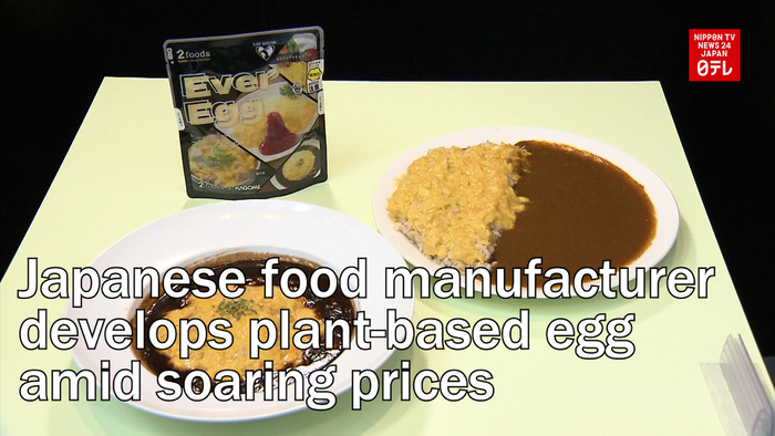 Japanese food manufacturer develops plant-based egg amid soaring prices