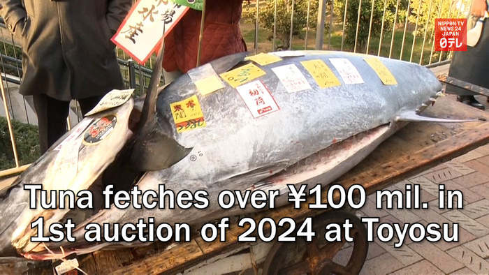 Tuna fetches over 100 million yen in first auction of 2024 at Tokyo's Toyosu Market