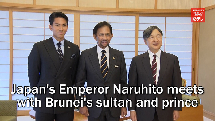 Japan's Emperor Naruhito meets with Brunei's sultan and prince