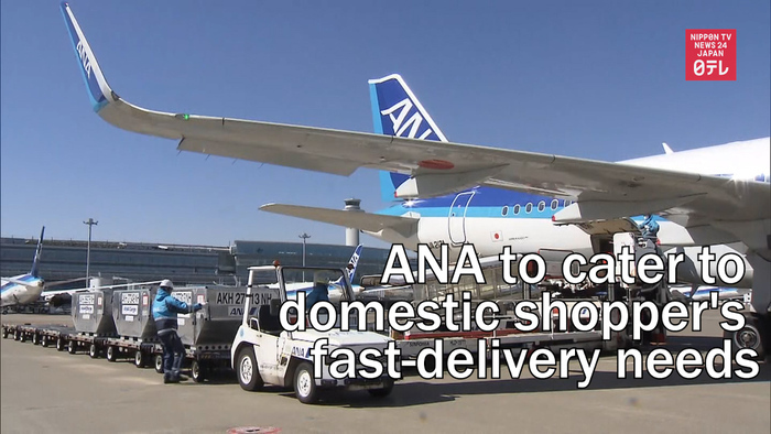 All Nippon Airways to cater to domestic shopper's fast-delivery needs