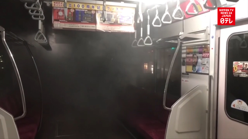 Smoke on train causes delay