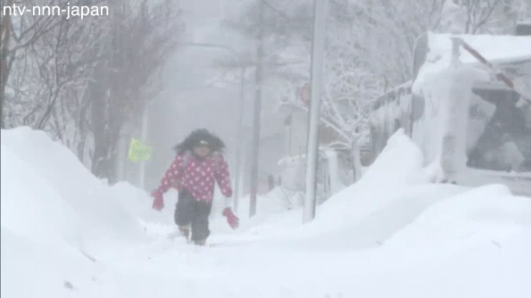 Spring succumbs to winter blizzard