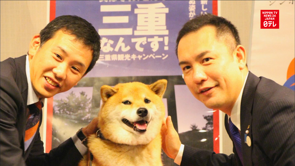 Dog named tourism ambassador