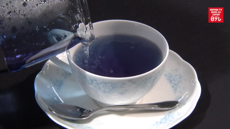 Blue tea booms in northern Japan 