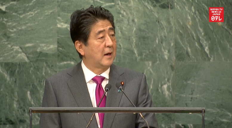 Abe urges stern attitude toward N.Korea