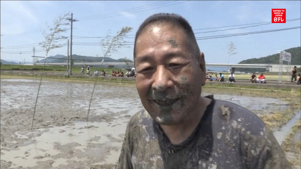 Fun in the mud: Rice-paddy rugby