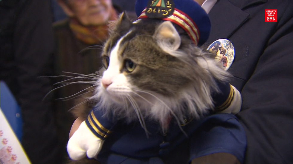 Cat stationmaster debuts on Christmas Eve