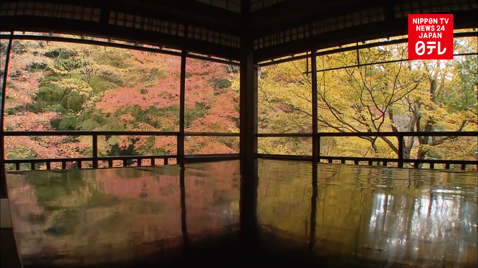 Autumn foliage in Kyoto attracts visitors