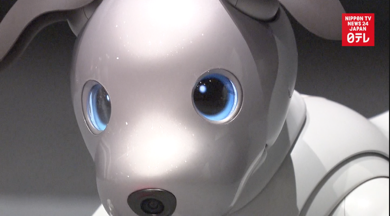 Sony takes new aibo for a walk 