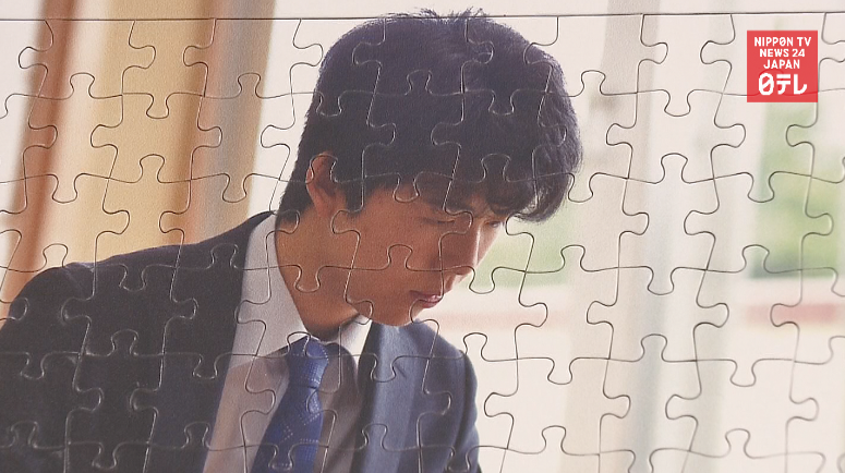 Jigsaw puzzle celebrates shogi prodigy 