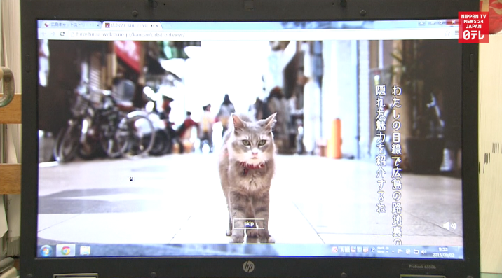 World's first cat's eye virtual tour
