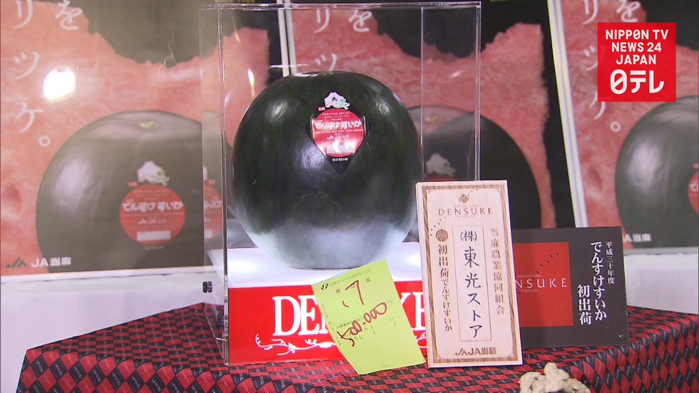 Densuke watermelon fetches over $4500 in first auction