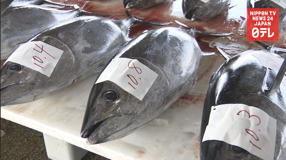 Japan may be allowed to boost tuna catch  