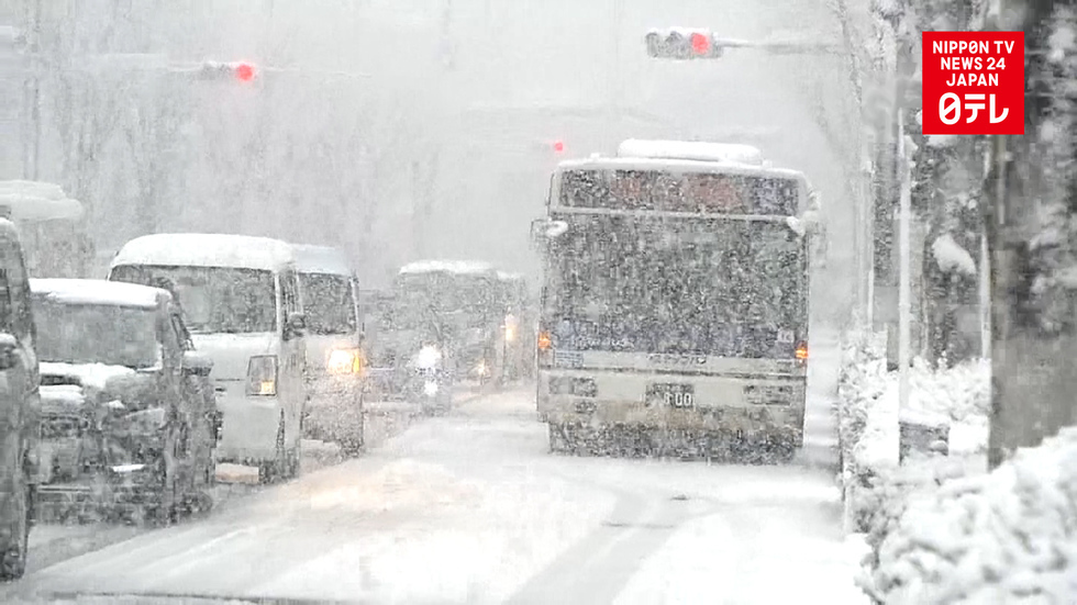 Snowstorm pelts Tokyo and eastern Japan