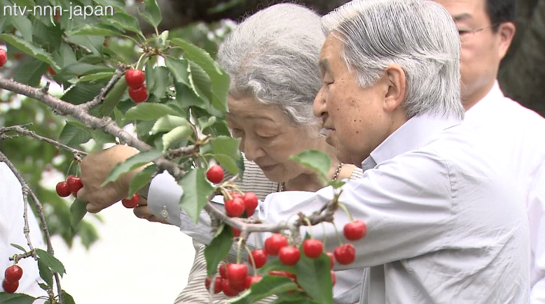 Imperial Couple enjoys cherry picking