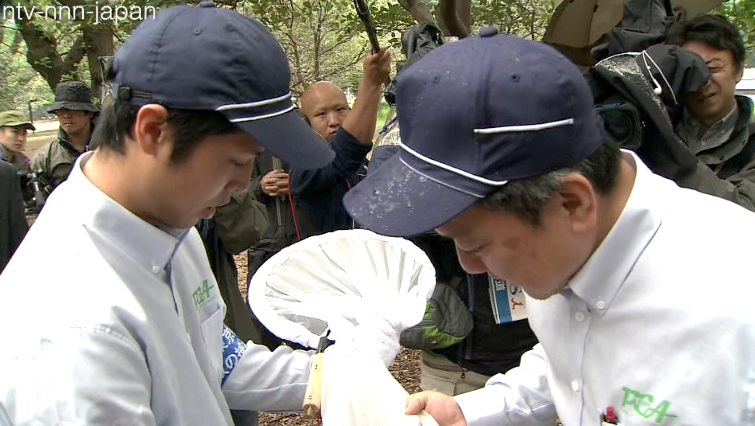 Tokyo tests for dengue-carrying mosquitos 