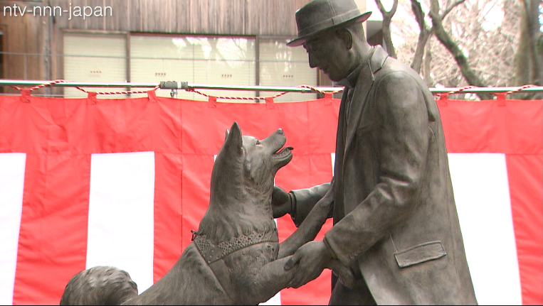 Hachiko finally reunited with master