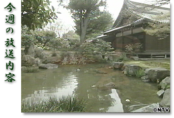 今週の放送内容