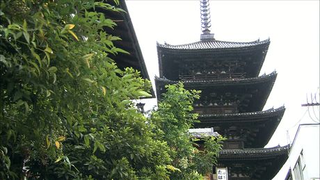 おでかけMOCO　秋の京都満喫ＳＰ：流行りのフォトジェニックスポットを巡る（１）