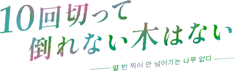 １０回切って倒れない木はない（ 열 번 찍어 안 넘어가는 나무 없다 ）