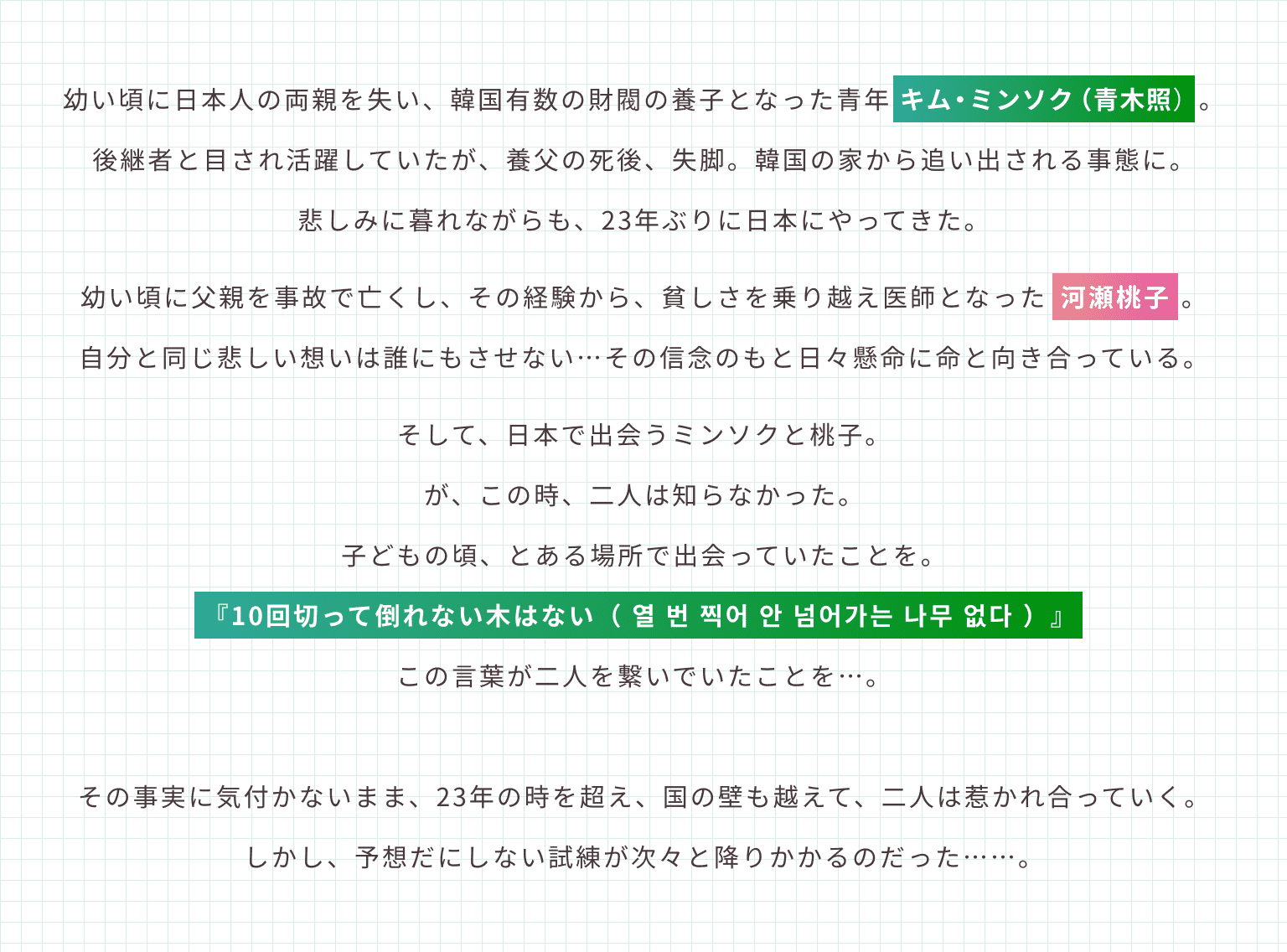幼い頃に日本人の両親を失い、韓国有数の財閥の養子となった青年 キム・ミンソク（青木照）。後継者と目され活躍していたが、養父の死後、失脚。韓国の家から追い出される事態に。悲しみに暮れながらも、23年ぶりに日本にやってきた。幼い頃に父親を事故で亡くし、その経験から、貧しさを乗り越え医師となった 河瀬桃子。自分と同じ悲しい想いは誰にもさせない…その信念のもと日々懸命に命と向き合っている。そして、日本で出会うミンソクと桃子。が、この時、二人は知らなかった。子どもの頃、とある場所で出会っていたことを。『10回切って倒れない木はない（ 열 번 찍어 안 넘어가는 나무 없다 ）』この言葉が二人を繋いでいたことを…。その事実に気付かないまま、23年の時を超え、国の壁も越えて、二人は惹かれ合っていく。しかし、予想だにしない試練が次々と降りかかるのだった……。