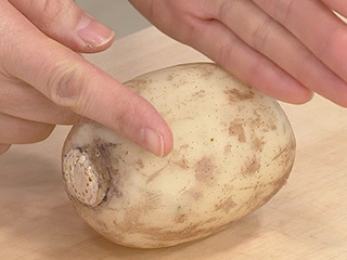 花れんこん 煮なます キユーピー3分クッキング 日本テレビ