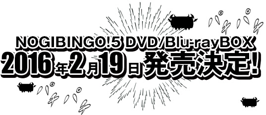 NOGIBINGO!5 DVD/Blu-rayBOX 2016年2月19日 発売決定! 