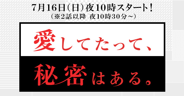 愛してたって 秘密はある 日本テレビ