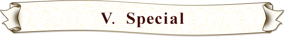 Ⅴ. Special