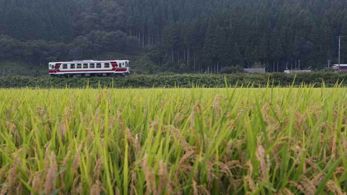 １０月９放送の アナザースカイii は佐々木希が秋田へ アナザースカイ 日本テレビ