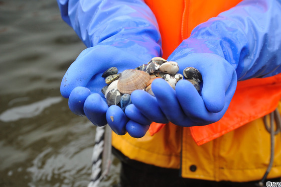 ♯５５－２２.JPGのサムネール画像