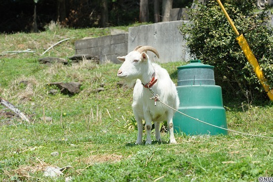 s152-016.jpgのサムネール画像