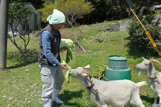 s152-020.jpgのサムネール画像