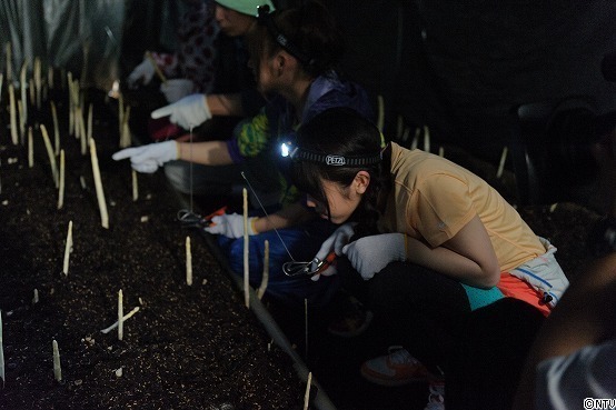 s152-110.jpgのサムネール画像