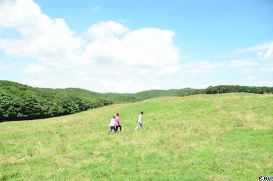 #557 東北総集編SP122.JPG