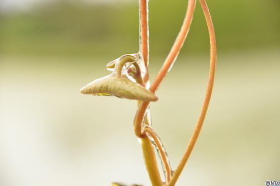 #557 東北総集編SP105.JPG