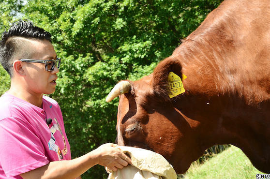 #557 東北総集編SP124.JPG