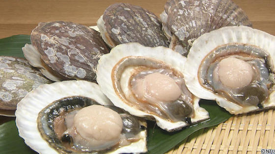 #557 東北総集編SP158.jpg