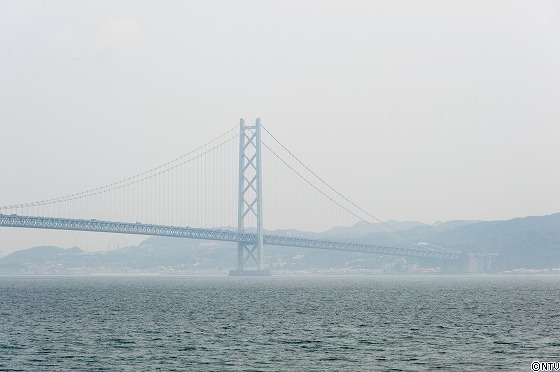 s-266p_385.jpg